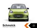 smart forTwo fortwo EQ EXCLUSIVE+22KW+LED+PANO+GJR+KAMERA+SHZ Grün - thumbnail 3