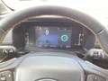 Ford Ranger 2,0 l EcoBlue DoKa. Autm. Wildtrak el. Laderollo Grau - thumbnail 9