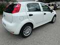 Fiat Punto Punto 5p 1.2 Lounge E6 Blanc - thumbnail 5
