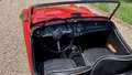 Triumph TR3 1960 Rood - thumbnail 21