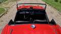 Triumph TR3 1960 Rood - thumbnail 20