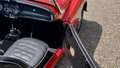 Triumph TR3 1960 Rood - thumbnail 29