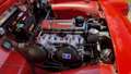 Triumph TR3 1960 Rood - thumbnail 36