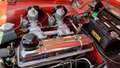 Triumph TR3 1960 Rood - thumbnail 35