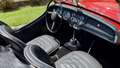 Triumph TR3 1960 Rood - thumbnail 30