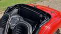Triumph TR3 1960 Rood - thumbnail 23