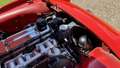 Triumph TR3 1960 Rood - thumbnail 37
