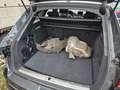 Audi A4 Avant 40 TFSI sport Xenon Panorama el. Koffer Gris - thumbnail 12