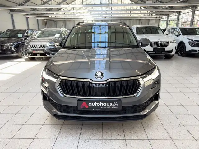 Skoda Karoq view 2