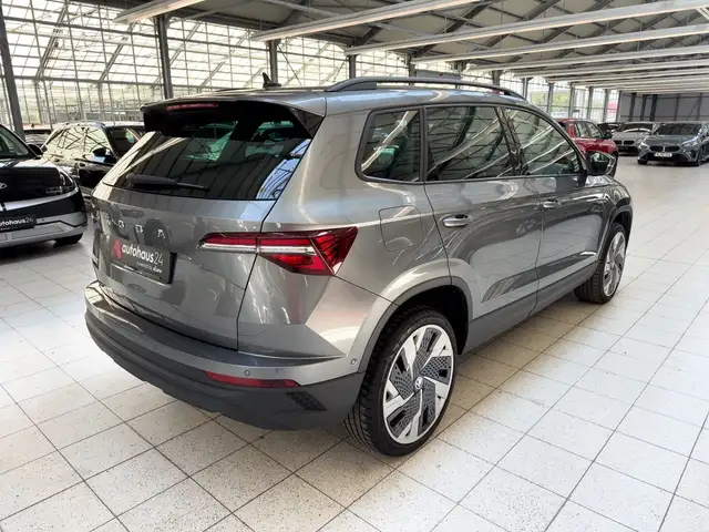 Skoda Karoq view 5