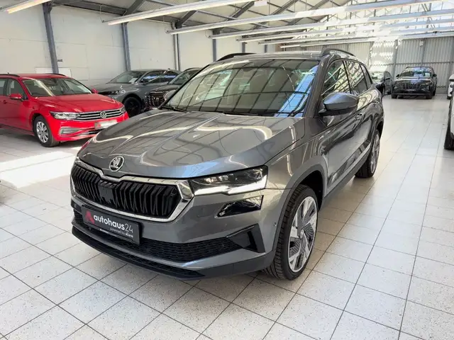 Skoda Karoq view 3