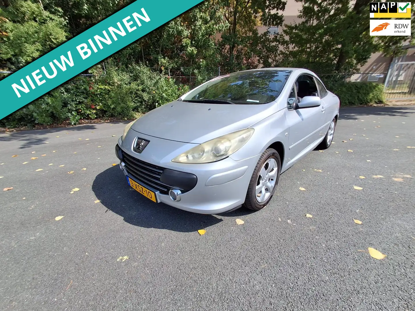 Peugeot 307 CC 2.0-16V Oxygo NETTE CABRIO RIJDT EN SCHAKELT GO Gris - 1
