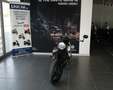 Moto Guzzi V 7 STONE        TEN Bianco - thumbnail 2