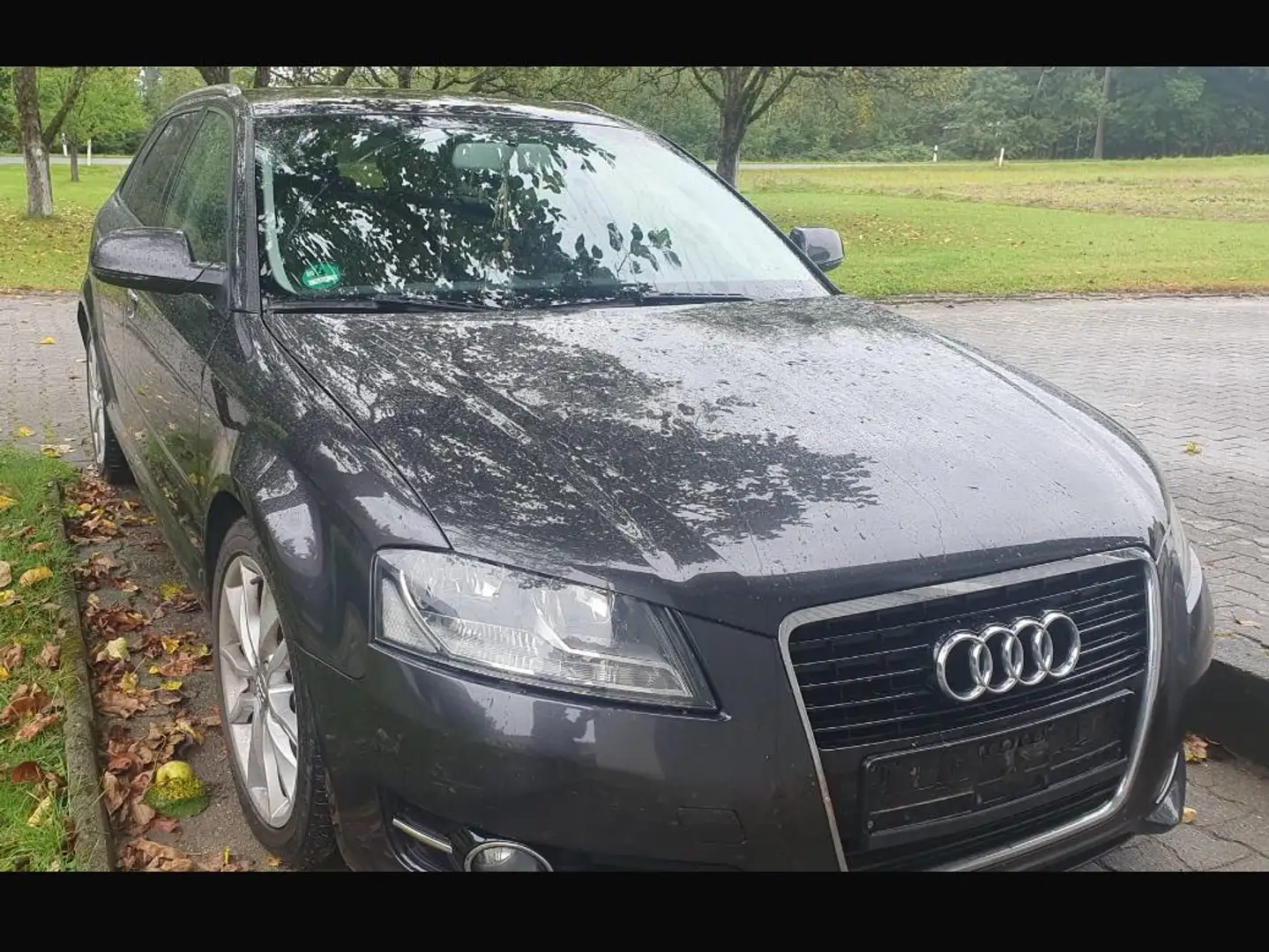 Audi A3 A3 2.0 TDI Sportback DPF Ambition Hnědá - 1