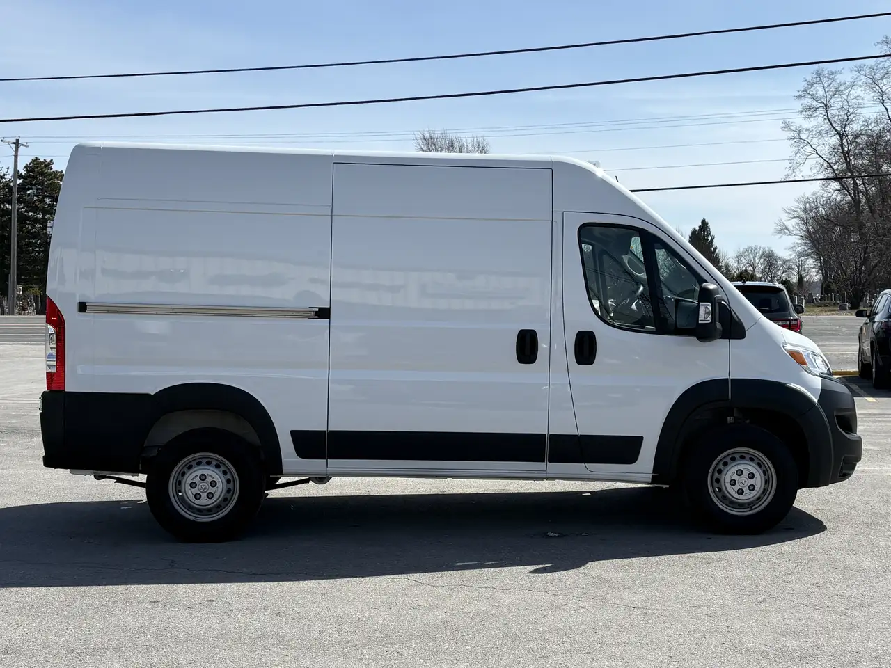 RAM Promaster снимка RAM Promaster