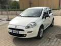 Fiat Punto Punto 5p 1.4 natural power Street 70cv E6 Bianco - thumbnail 1