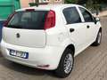 Fiat Punto Punto 5p 1.4 natural power Street 70cv E6 Bianco - thumbnail 4