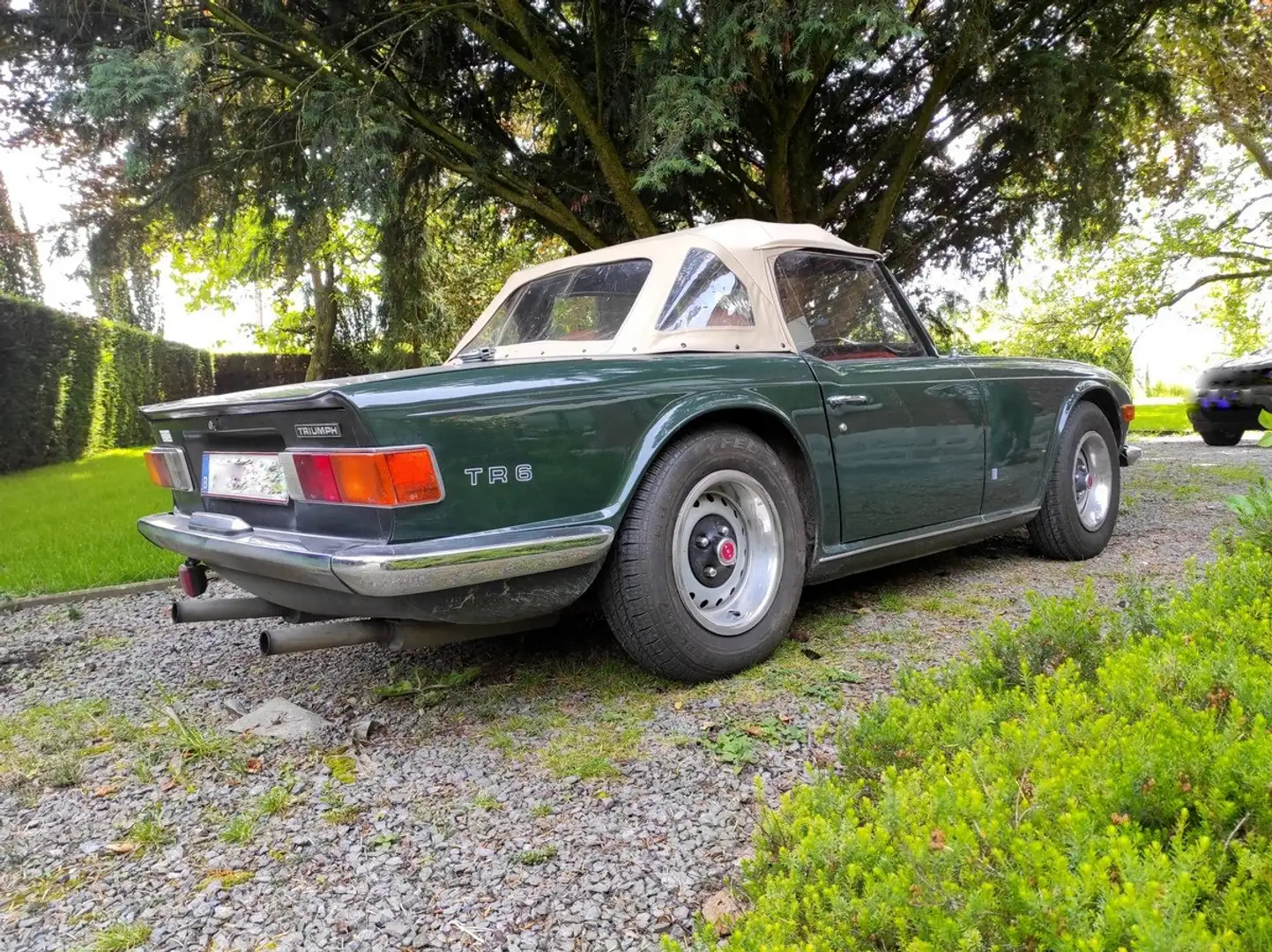 Triumph TR6 cabriolet 2500cc Verde - 2