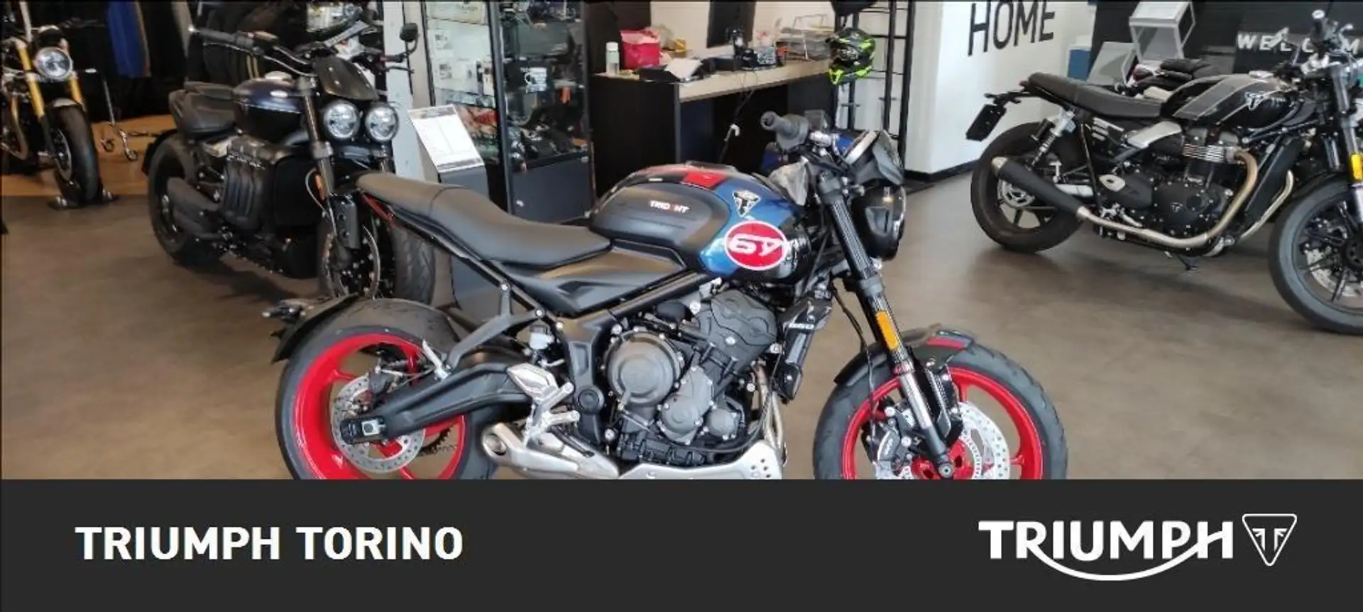 Triumph Trident 660 Triple Tribute Abs Grigio - 1