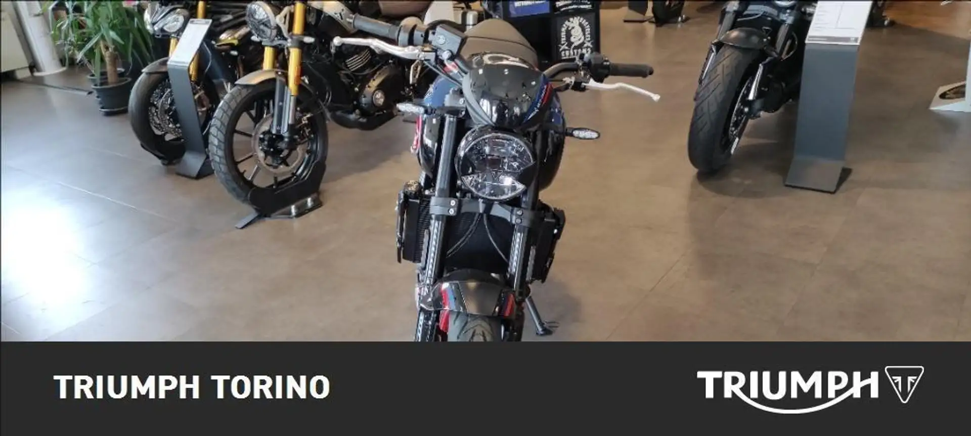 Triumph Trident 660 Triple Tribute Abs Grigio - 2