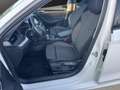 Skoda Octavia 1.5 TSI Combi Clever ACC*KAMERA*NAVI*SHZ Klima Blanc - thumbnail 11