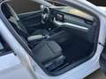 Skoda Octavia 1.5 TSI Combi Clever ACC*KAMERA*NAVI*SHZ Klima Blanc - thumbnail 19