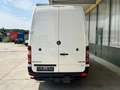 Mercedes-Benz Sprinter Mixto 516 CDI 4X4  L4H3 +Service NEU! Blanc - thumbnail 13