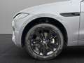 Jaguar F-Pace F-PACE D300 R-Dynamic SE AHK Pano Winter Pack Grau - thumbnail 8
