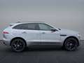 Jaguar F-Pace F-PACE D300 R-Dynamic SE AHK Pano Winter Pack Grau - thumbnail 5