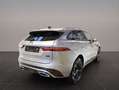 Jaguar F-Pace F-PACE D300 R-Dynamic SE AHK Pano Winter Pack Grau - thumbnail 2