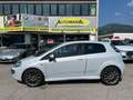 Fiat Punto Evo 1.3 Mjt 95 CV DPF 3 porte S&S Sport Bílá - thumbnail 2