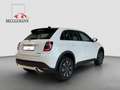 Fiat 600 Hybrid 125 JAHRE + Ganzjahresreifen Weiß - thumbnail 6
