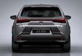 Lexus UX 300h F Sport+ Bitono 2WD - thumbnail 26