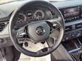 Skoda Kamiq - Kamiq 1.0 TSI Ambition Bleu - thumbnail 20