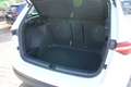 Skoda Karoq DSG Selection LED CAM  PDC Design-Paket Weiß - thumbnail 4