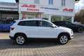 Skoda Karoq DSG Selection LED CAM  PDC Design-Paket Weiß - thumbnail 20