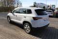 Skoda Karoq DSG Selection LED CAM  PDC Design-Paket Weiß - thumbnail 21