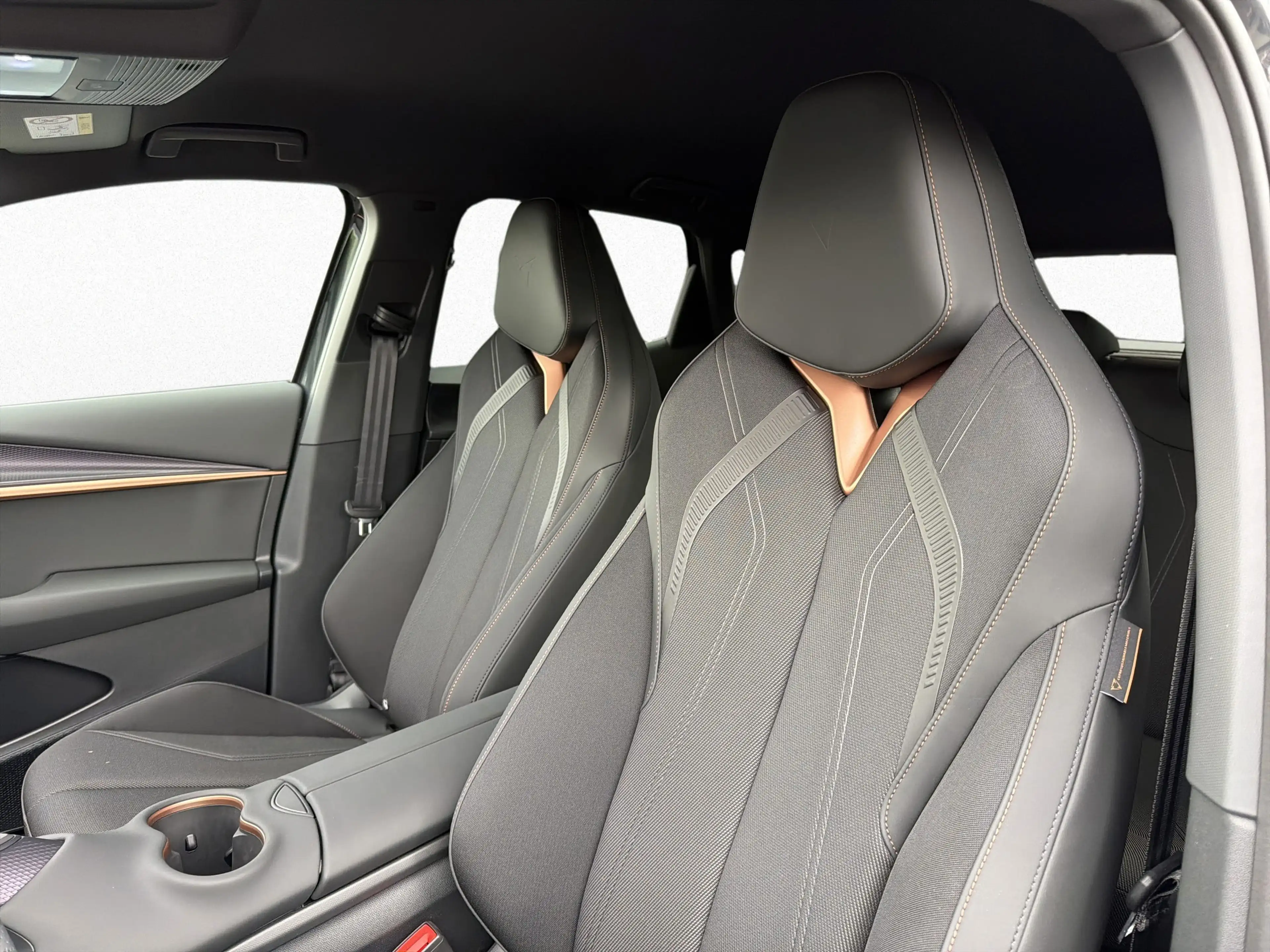 CUPRA Tavascan 210 kW Endurance AHK WÄRMEPUMPE GJR DRI — photo 8