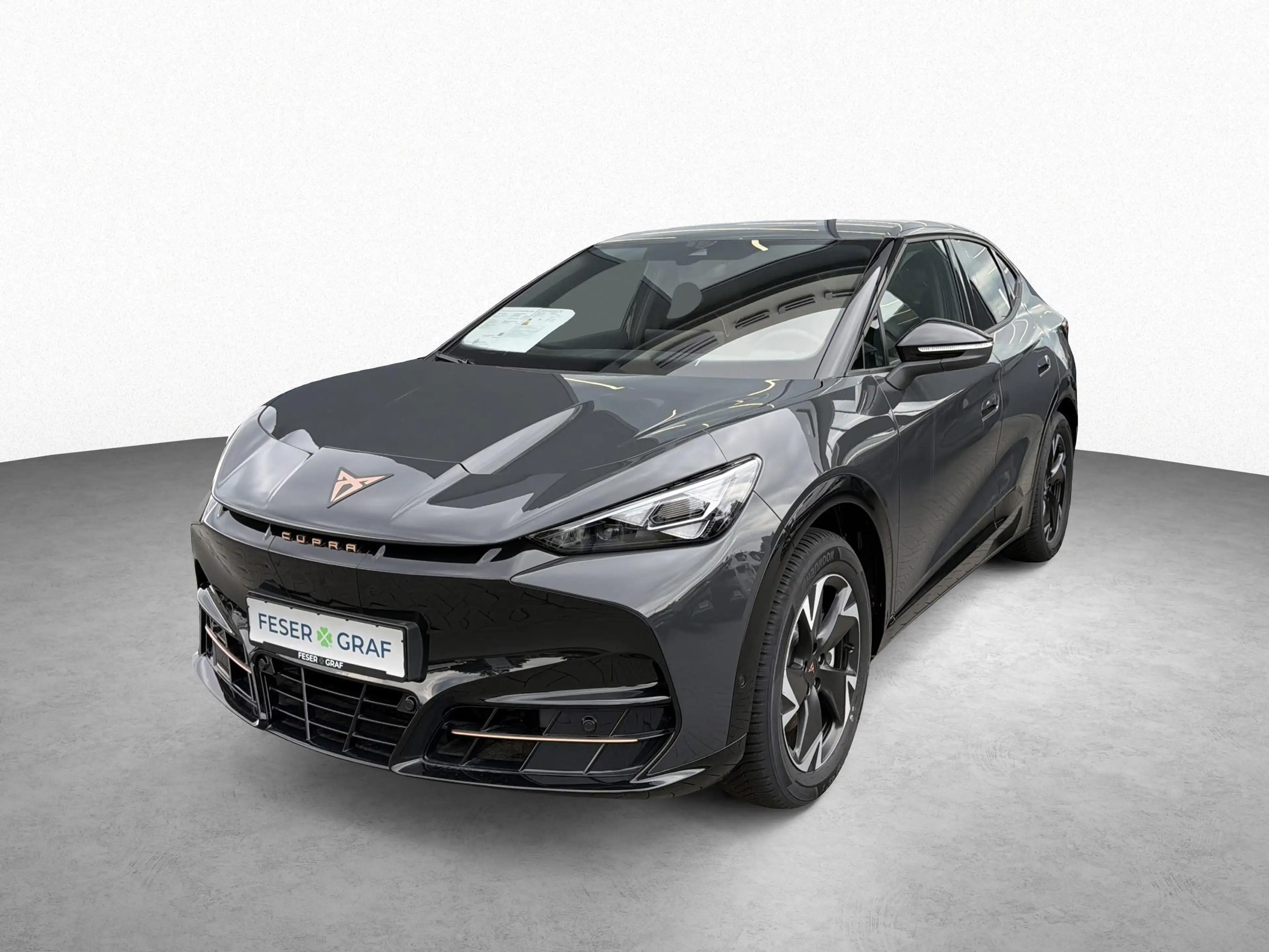 CUPRA Tavascan 210 kW Endurance AHK WÄRMEPUMPE GJR DRI — photo 11