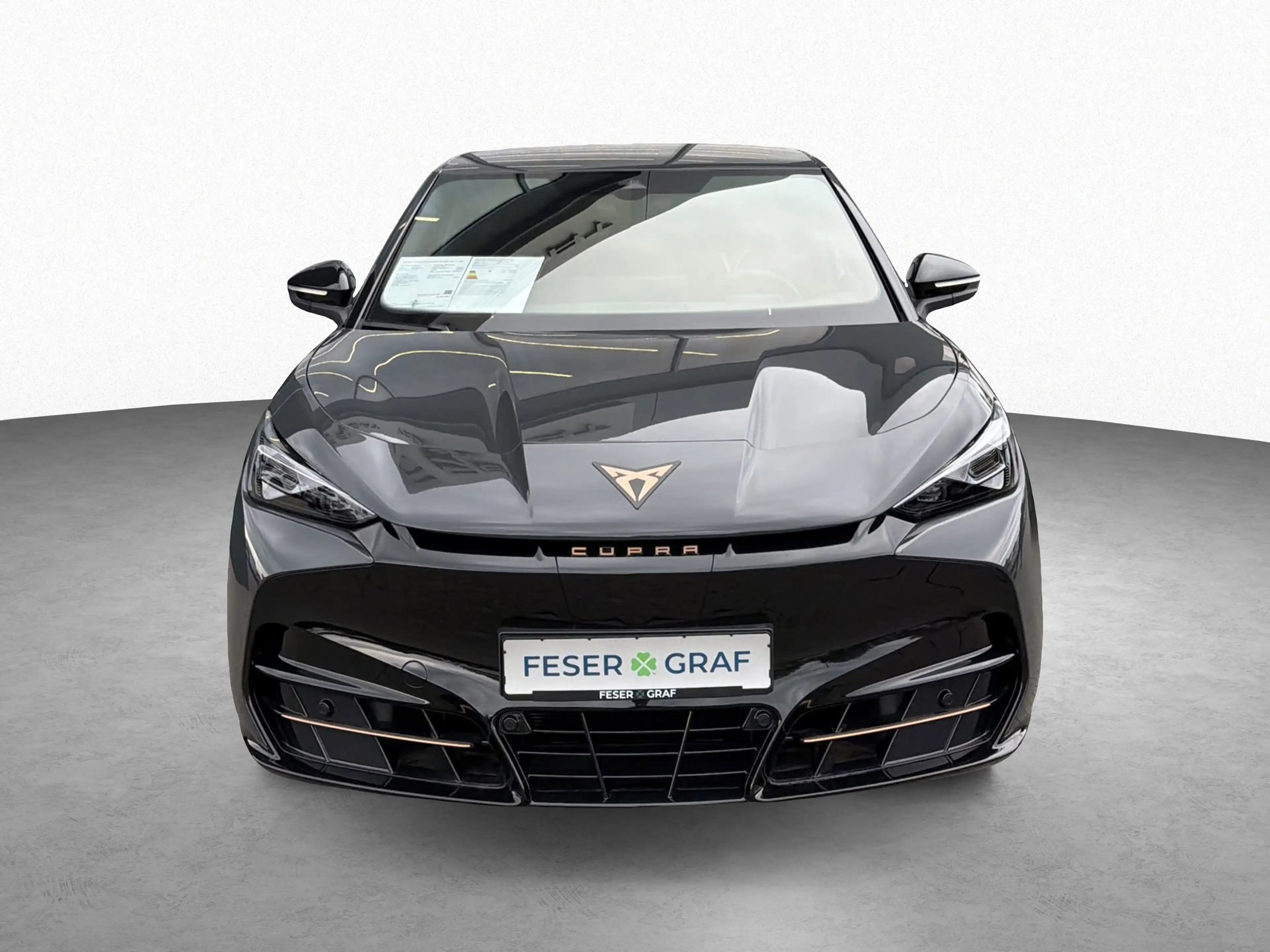 CUPRA Tavascan 210 kW Endurance AHK WÄRMEPUMPE GJR DRI — photo 2