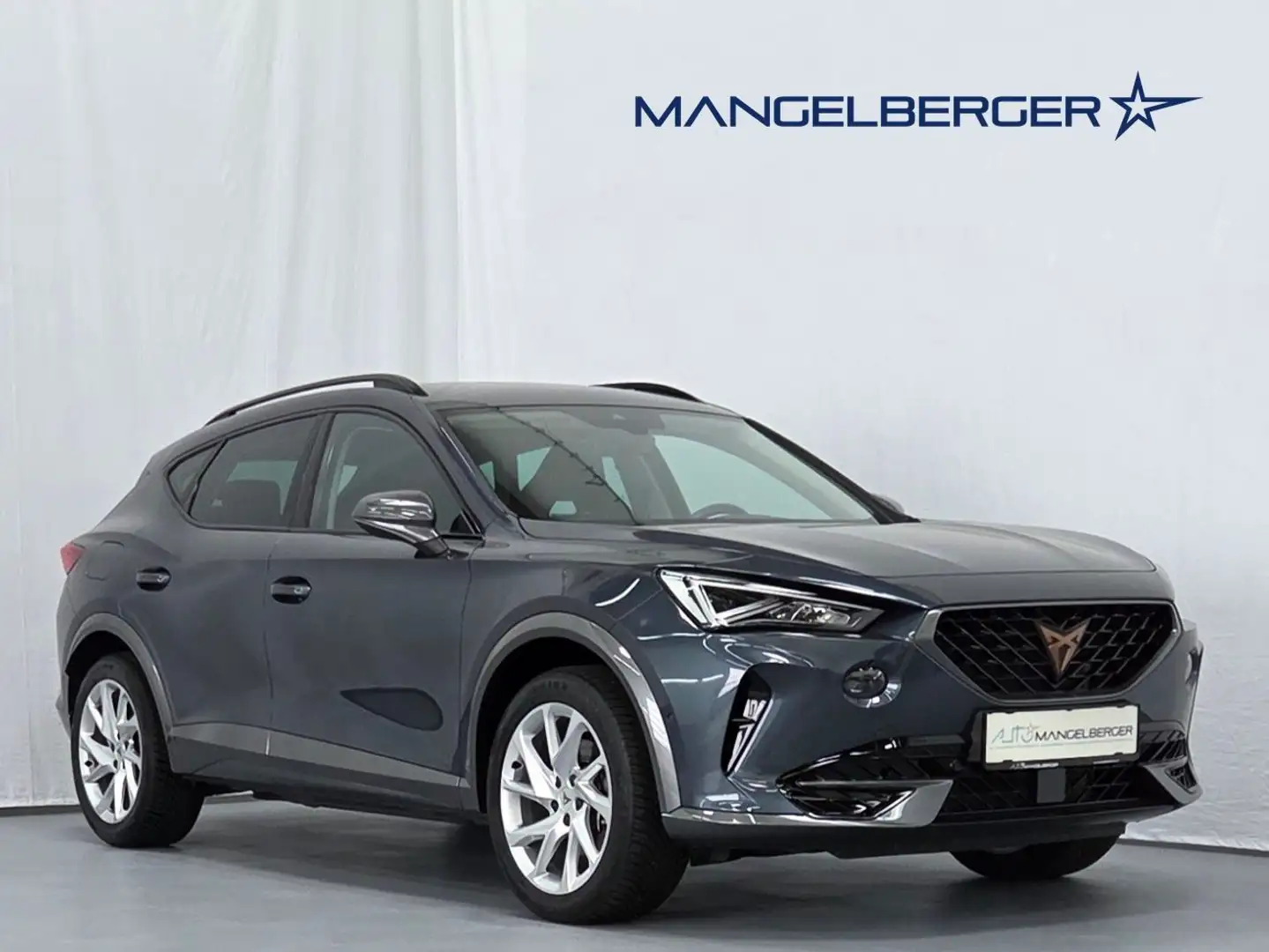CUPRA Formentor 1,4 e-Hybrid DSG Silber - 1