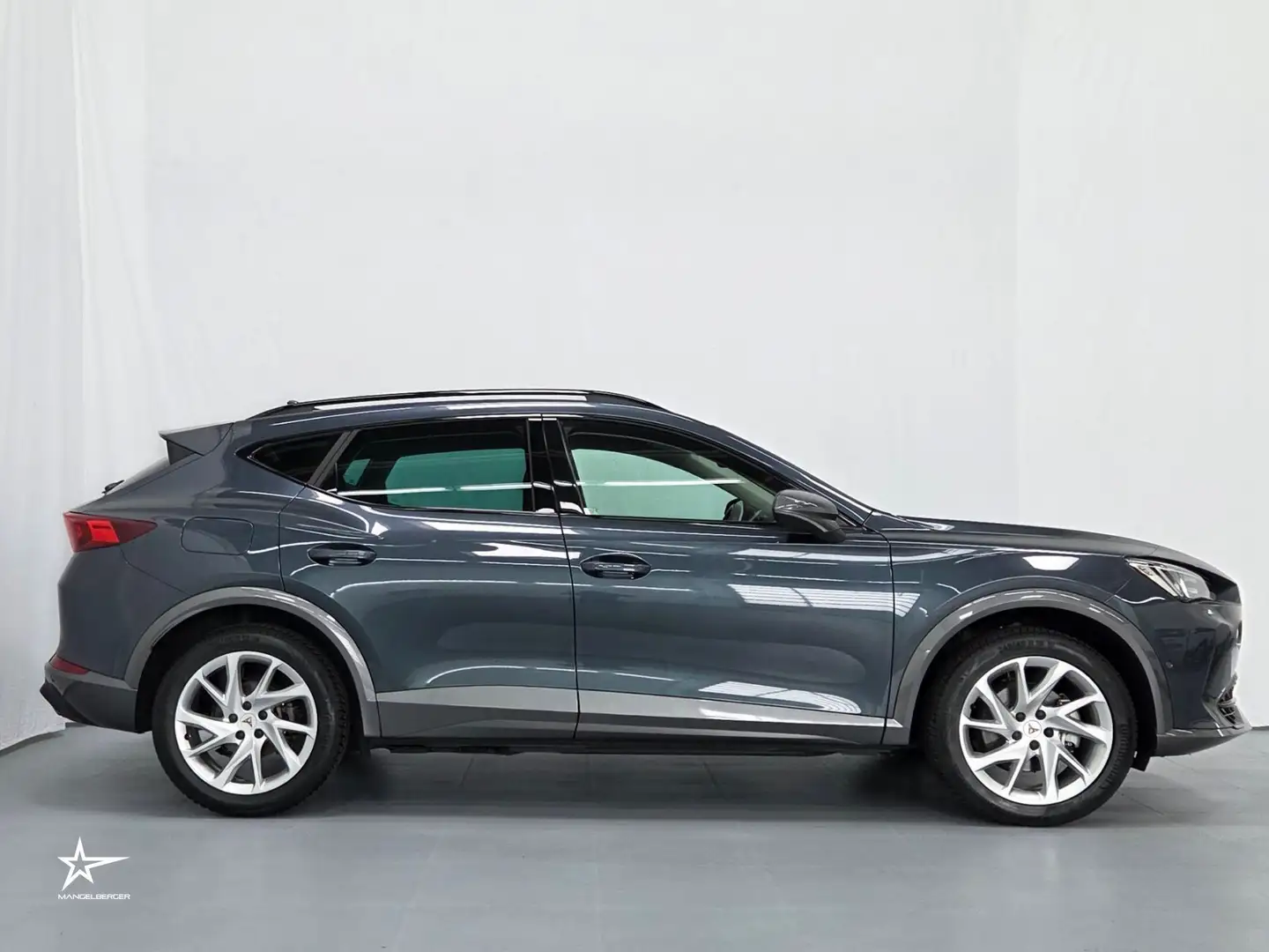 CUPRA Formentor 1,4 e-Hybrid DSG Silber - 2