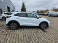 Ford Puma Titanium Weiß - thumbnail 5