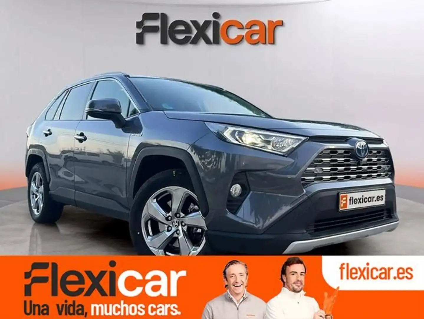 Toyota RAV 4 2.5l+220H+Advance+Plus+4WD Gris - 1