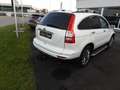 Honda CR-V Elegance Білий - thumbnail 5