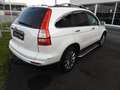 Honda CR-V Elegance Білий - thumbnail 4
