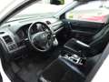 Honda CR-V Elegance Білий - thumbnail 6