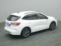 Ford Kuga ST-Line X 150PS/Techno.&Fahr-Assistenz-P. Weiß - thumbnail 22