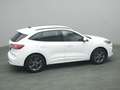 Ford Kuga ST-Line X 150PS/Techno.&Fahr-Assistenz-P. Weiß - thumbnail 46