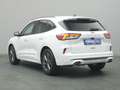 Ford Kuga ST-Line X 150PS/Techno.&Fahr-Assistenz-P. Weiß - thumbnail 30